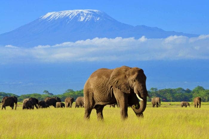 Best safari destinations in Kenya with wildlife and scenic safari landscapes