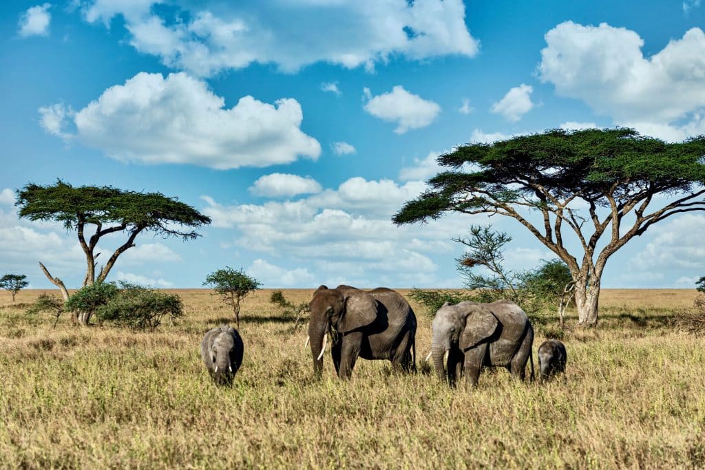 How many days in Kruger National Park with safari landscape and travel planning atmosphere