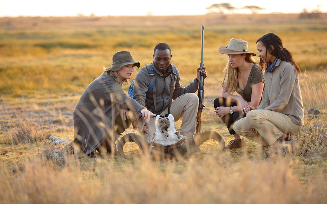 Kenya safari scene with wildlife, open plains, and premium travel atmosphere