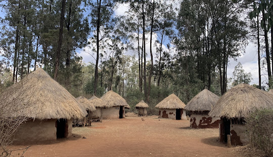 Kenya safari itinerary scene with wildlife, open plains, and premium travel atmosphere