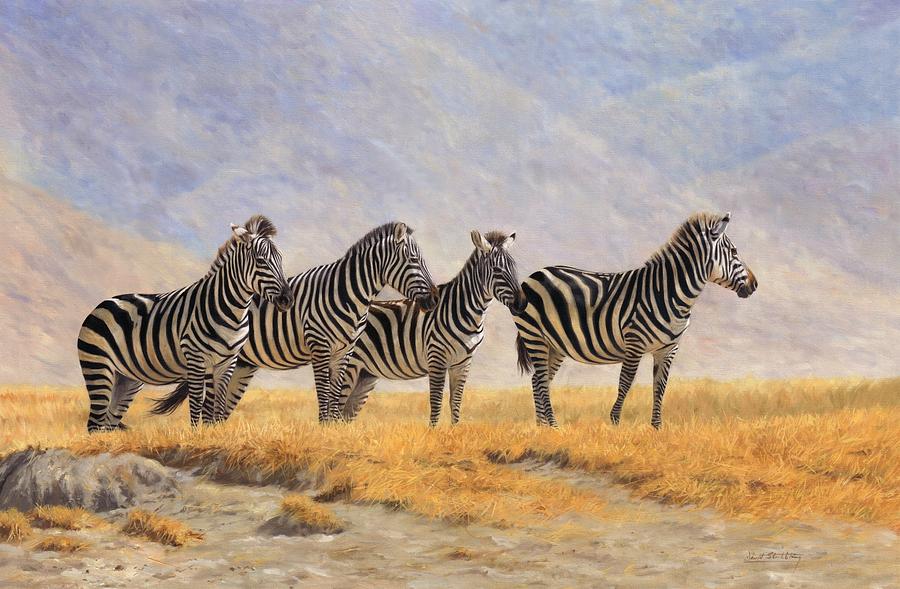 Ngorongoro landscape