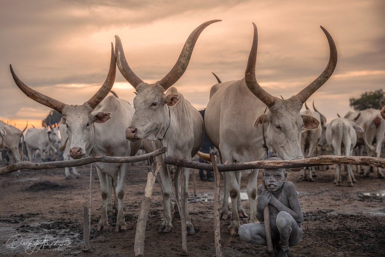 South Sudan travel highlights